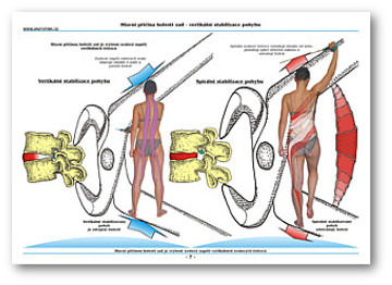 Ukázka z knihy SM systém Zdravá záda