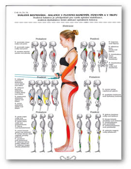 Kniha SM systém Skolióza balance v pletenci ramením